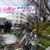 みんなでかすみ堤の保全を祝う今年の「久地さくら祭り」