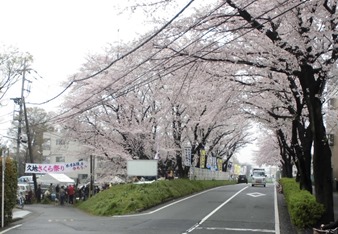 久地さくら祭り